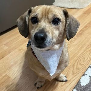 Meet your Posher, Marcie